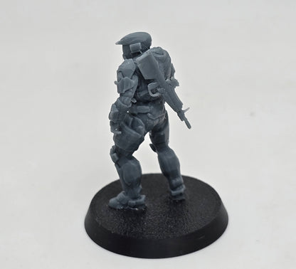 Pistol and Battle Rifle Spartan