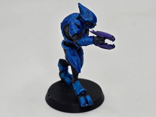 Elite Minor