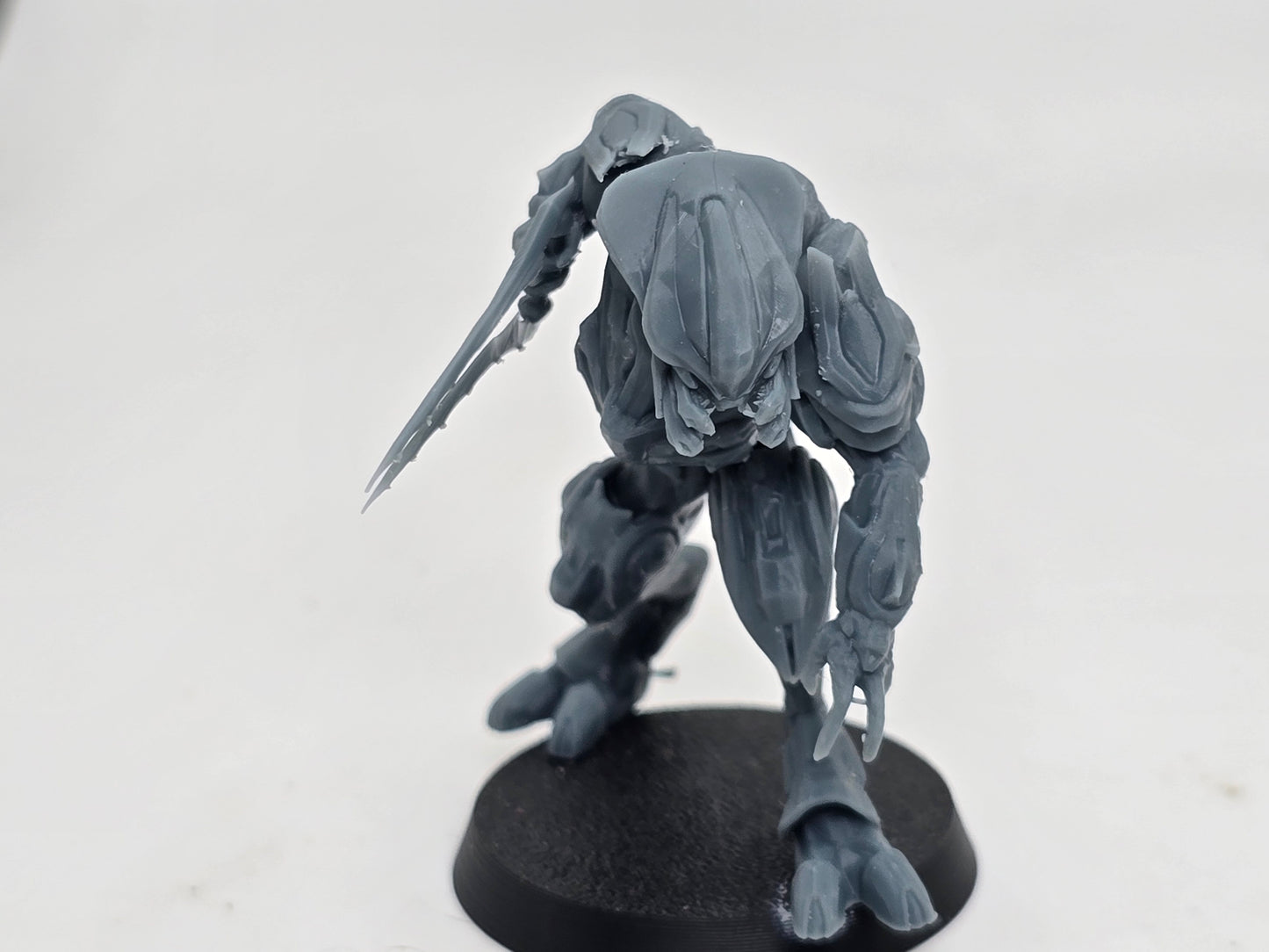 Elite Zealot